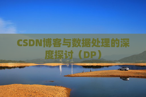 CSDN博客与数据处理的深度探讨（DP）